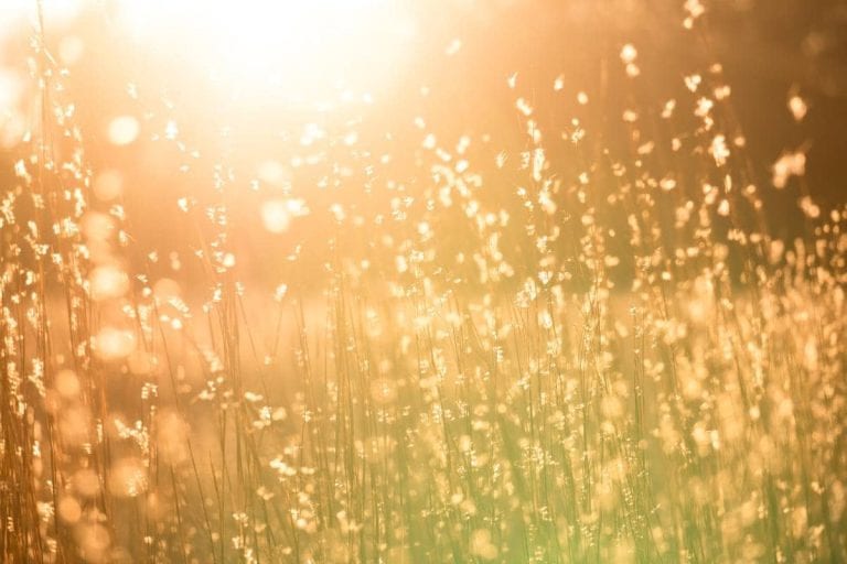 Cómo prevenir el golpe de calor en personas mayores