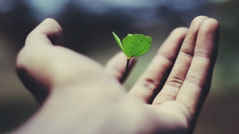 Consejos para aumentar la esperanza de vida
