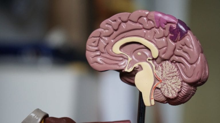 Como detectar los síntomas de la neurodegeneración